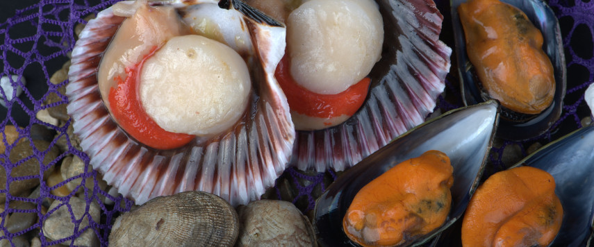 Marisco todo el año Moluscos