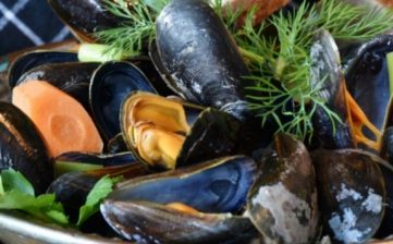 Descúbrelo todo sobre los mejillones
